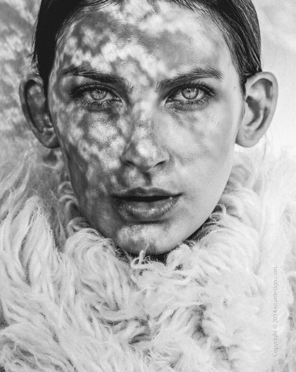 фотографии тома хупса on istar design blog www.istardesign.com