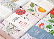 Contemporary aesthetics from Menta